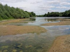 Гидрологический кризис в реке Днестр