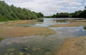 Гидрологический кризис в реке Днестр