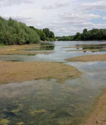Гидрологический кризис в реке Днестр