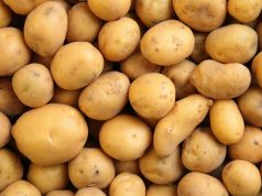 В Молдове цены на прошлогодний картофель выросли на 10%