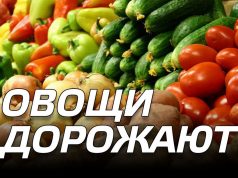 В Молдове овощи подорожали на 44% в I квартале 2025 года