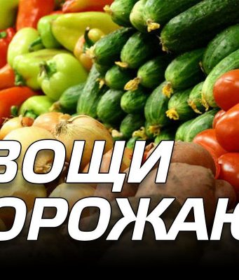 В Молдове овощи подорожали на 44% в I квартале 2025 года