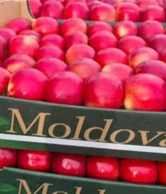 В Молдове яблоки подорожали до пятилетнего максимума