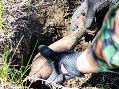 Сапёры Молдовы обезвредили 211 взрывоопасных предметов в апреле