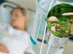 В Молдове зафиксированы новые случаи отравления грибами