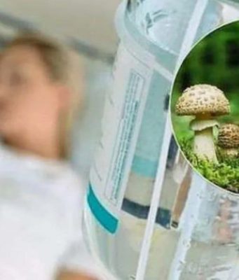 В Молдове зафиксированы новые случаи отравления грибами