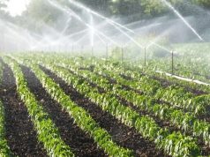 В Молдове модернизируют оросительные системы для увеличения сельхозугодий