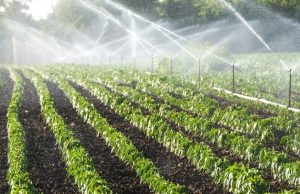 В Молдове модернизируют оросительные системы для увеличения сельхозугодий