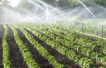 В Молдове модернизируют оросительные системы для увеличения сельхозугодий