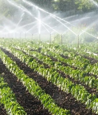 В Молдове модернизируют оросительные системы для увеличения сельхозугодий