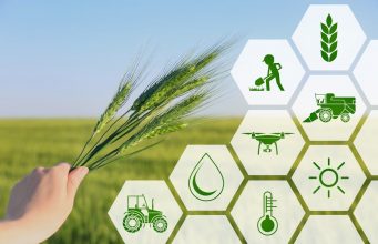 В Молдове впервые пройдёт Ярмарка финансистов сельского хозяйства AgroFin Moldova 2025