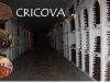 Винодельческий комбинат «Cricova» станет памятником, охраняемым государством Молдовы