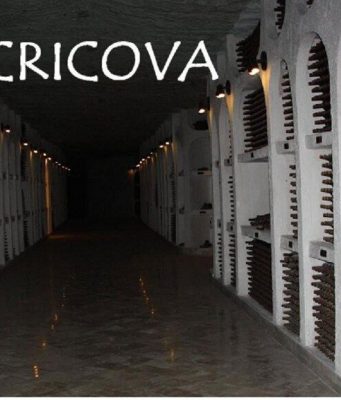 Винодельческий комбинат «Cricova» станет памятником, охраняемым государством Молдовы