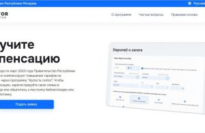Аудит выявил нарушения в расчетах компенсаций Министерством социальной защиты Молдовы