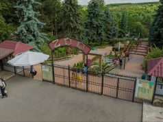 В Кишинёвском зоопарке появилась возможность покупать билеты онлайн