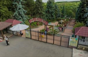 В Кишинёвском зоопарке появилась возможность покупать билеты онлайн