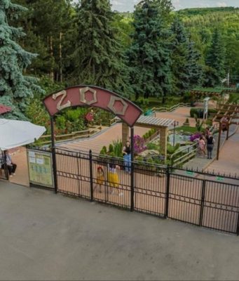 В Кишинёвском зоопарке появилась возможность покупать билеты онлайн