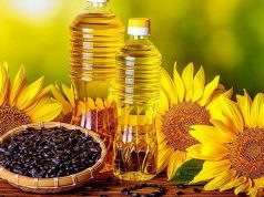 Экспорт подсолнечного масла из Молдовы резко сократился с июля 2024 по апрель 2025 года