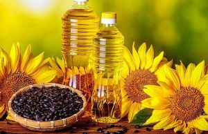 Экспорт подсолнечного масла из Молдовы резко сократился с июля 2024 по апрель 2025 года