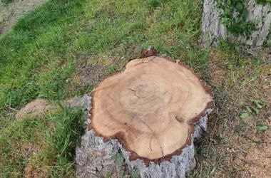 photo_2025-05-20_21-51-47