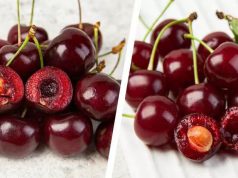 В Молдове ожидается дефицит черешни и вишни в 2025 году из-за весенних заморозков