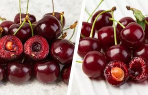 В Молдове ожидается дефицит черешни и вишни в 2025 году из-за весенних заморозков