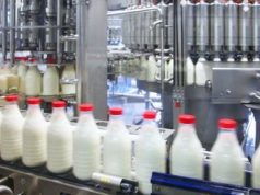 Молдова теряет молочное производство – отрасль на грани коллапса