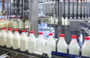 Молдова теряет молочное производство – отрасль на грани коллапса