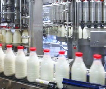 Молдова теряет молочное производство – отрасль на грани коллапса