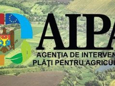 AIPA выделило 58,3 млн леев на поддержку сельхозпроизводителей Молдовы