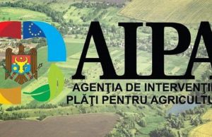 AIPA выделило 58,3 млн леев на поддержку сельхозпроизводителей Молдовы