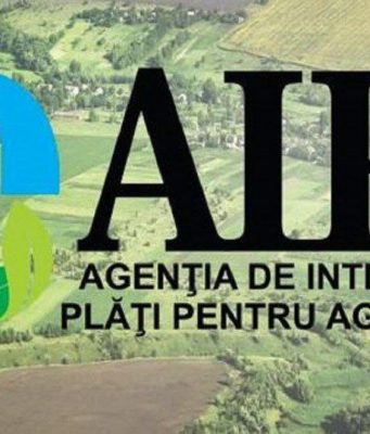 AIPA выделило 58,3 млн леев на поддержку сельхозпроизводителей Молдовы