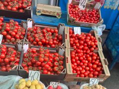 Актуальные цены на овощи и фрукты в Кишинёве