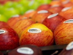 Молдова укрепляет экспорт яблок в Малайзию
