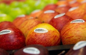 Молдова укрепляет экспорт яблок в Малайзию