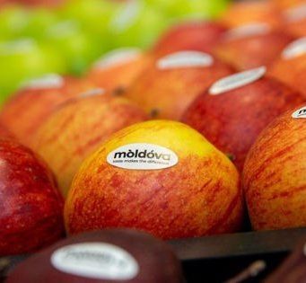 Молдова укрепляет экспорт яблок в Малайзию