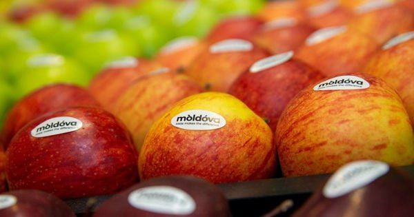 photo_2025-05-27_19-41-44