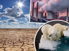 Неравномерное распределение выбросов углерода, связанно с деятельностью самых богатых слоев населения