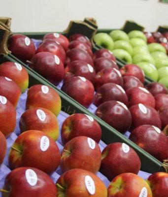 Цены на яблоки в Молдове выросли более чем на 10% этой весной