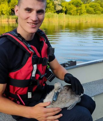 В Кишиневе спасли птенца лебедя, застрявшего в рыболовной сети