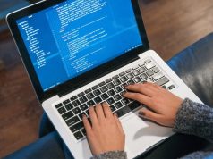 Эксперты объяснили, почему в Молдове самые высокие зарплаты в IT, а самые низкие — в агросекторе