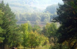 Молдова и Румыния пересчитают деревья вместе: стартует лесная инвентаризация