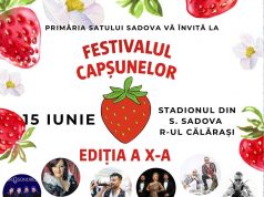 В Садова в это воскресенье пройдёт традиционный Фестиваль клубники и мёда