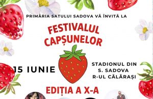 В Садова в это воскресенье пройдёт традиционный Фестиваль клубники и мёда