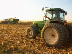 За первую неделю июня AIPA перечислило фермерам свыше 26 млн леев субсидий