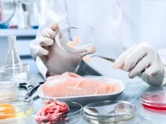 Правительство Молдовы утвердило новые правила для снижения содержания опасных веществ в пищевых продуктах