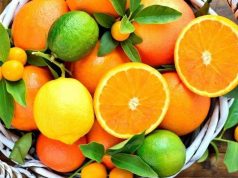 Новые фитосанитарные меры для импорта цитрусовых в Молдову