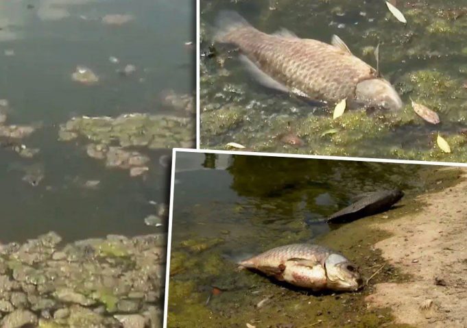 photo_2025-06-19_14-25-18