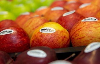 Молдова наращивает экспорт яблок в мае 2025 года