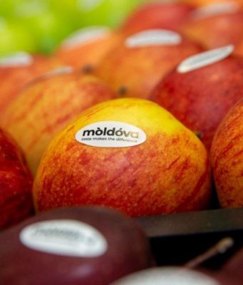 Молдова наращивает экспорт яблок в мае 2025 года